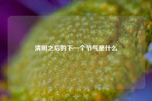 清明之后的下一个节气是什么