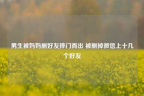 男生被妈妈删好友摔门而出 被删掉微信上十几个好友