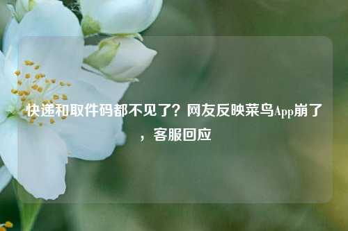 快递和取件码都不见了？网友反映菜鸟App崩了，客服回应