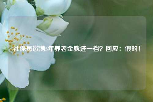 社保每缴满5年养老金就进一档？回应：假的！