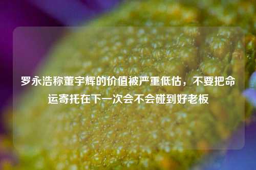 罗永浩称董宇辉的价值被严重低估，不要把命运寄托在下一次会不会碰到好老板