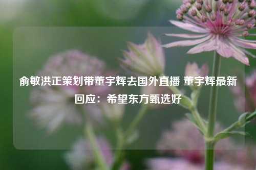 俞敏洪正策划带董宇辉去国外直播 董宇辉最新回应：希望东方甄选好