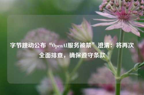 字节跳动公布“OpenAI服务被禁”澄清：将再次全面排查，确保遵守条款