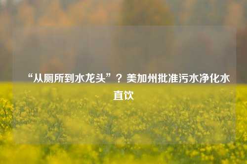 “从厕所到水龙头”？美加州批准污水净化水直饮