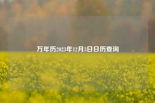 万年历2023年12月3日日历查询