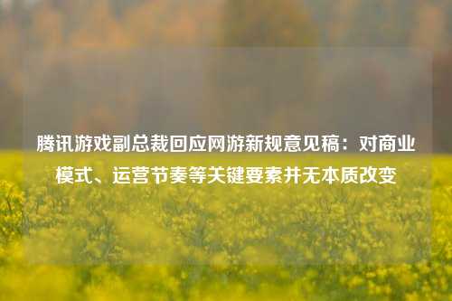 腾讯游戏副总裁回应网游新规意见稿：对商业模式、运营节奏等关键要素并无本质改变