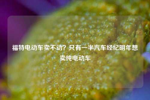 福特电动车卖不动？只有一半汽车经纪明年想卖纯电动车