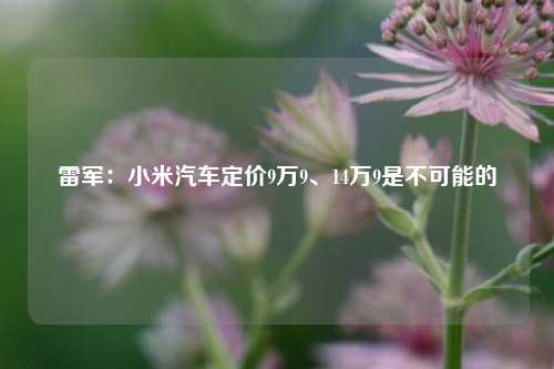 雷军：小米汽车定价9万9、14万9是不可能的