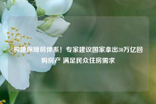 构建保障房体系！专家建议国家拿出30万亿回购房产 满足民众住房需求