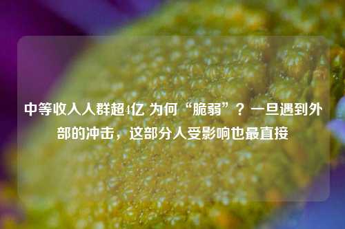 中等收入人群超4亿 为何“脆弱”？一旦遇到外部的冲击，这部分人受影响也最直接