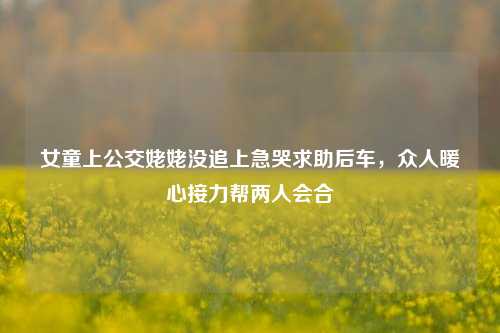 女童上公交姥姥没追上急哭求助后车，众人暖心接力帮两人会合