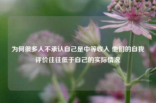 为何很多人不承认自己是中等收入 他们的自我评价往往低于自己的实际情况