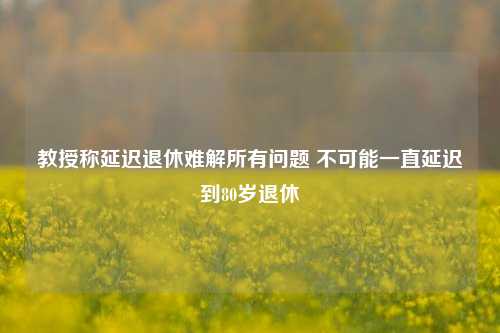 教授称延迟退休难解所有问题 不可能一直延迟到80岁退休