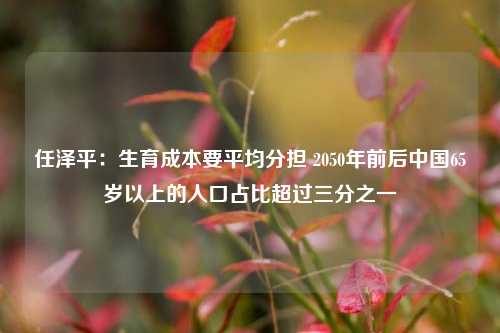 任泽平：生育成本要平均分担 2050年前后中国65岁以上的人口占比超过三分之一