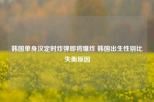 韩国单身汉定时炸弹即将爆炸 韩国出生性别比失衡原因