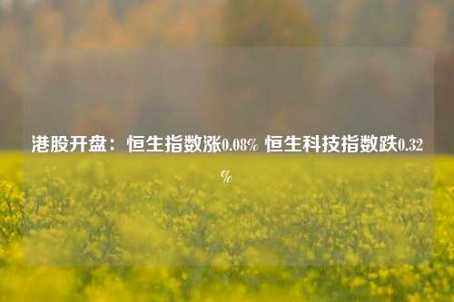 港股开盘：恒生指数涨0.08% 恒生科技指数跌0.32%