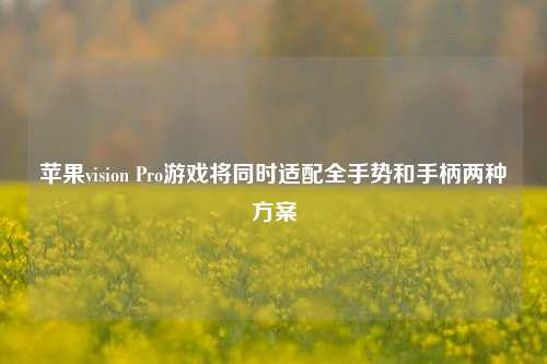 苹果vision Pro游戏将同时适配全手势和手柄两种方案