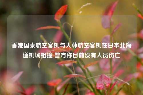 香港国泰航空客机与大韩航空客机在日本北海道机场相撞 警方称目前没有人员伤亡