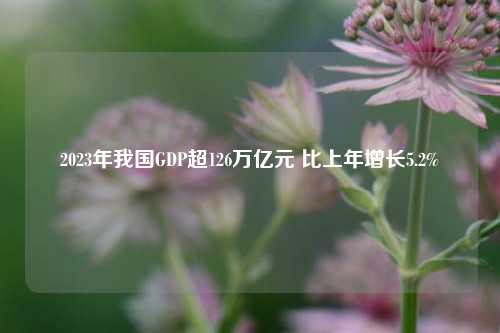 2023年我国GDP超126万亿元 比上年增长5.2%