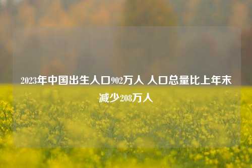 2023年中国出生人口902万人 人口总量比上年末减少208万人