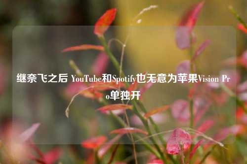 继奈飞之后 YouTube和Spotify也无意为苹果Vision Pro单独开