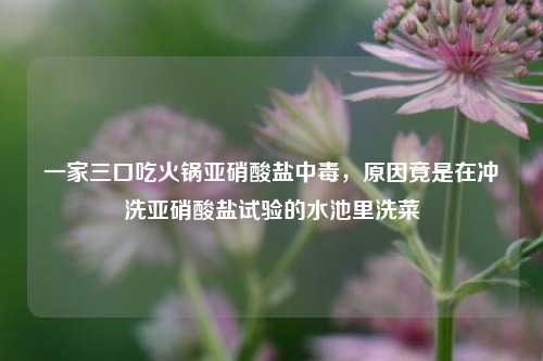 一家三口吃火锅亚硝酸盐中毒，原因竟是在冲洗亚硝酸盐试验的水池里洗菜