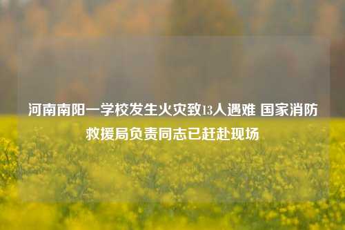 河南南阳一学校发生火灾致13人遇难 国家消防救援局负责同志已赶赴现场