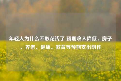 年轻人为什么不敢花钱了 预期收入降低，房子、养老、健康、教育等预期支出刚性