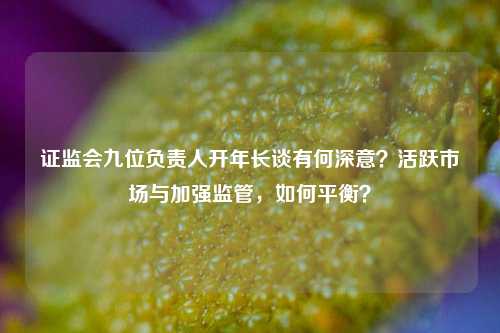 证监会九位负责人开年长谈有何深意？活跃市场与加强监管，如何平衡？