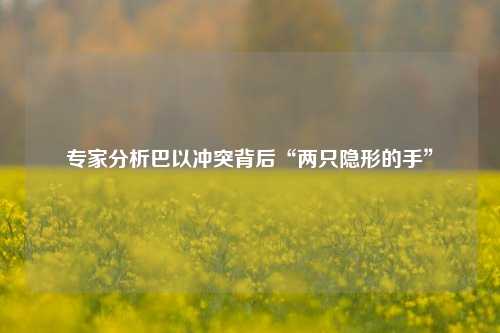 专家分析巴以冲突背后“两只隐形的手”