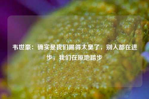 韦世豪：确实是我们踢得太臭了，别人都在进步，我们在原地踏步