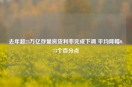 去年超23万亿存量房贷利率完成下调 平均降幅0.73个百分点