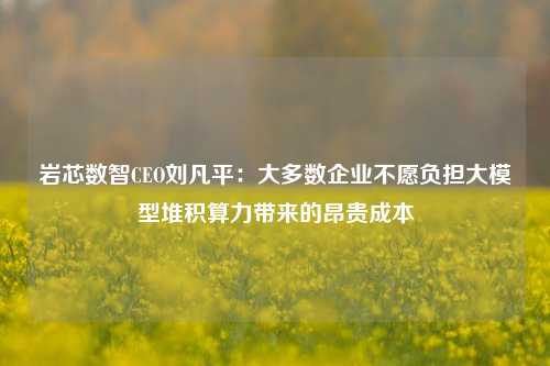 岩芯数智CEO刘凡平：大多数企业不愿负担大模型堆积算力带来的昂贵成本