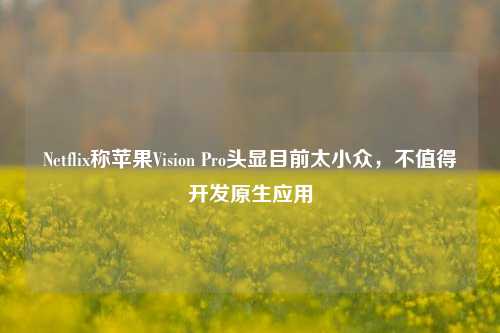 Netflix称苹果Vision Pro头显目前太小众，不值得开发原生应用