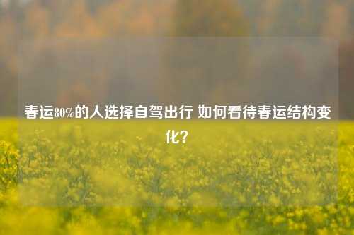 春运80%的人选择自驾出行 如何看待春运结构变化？