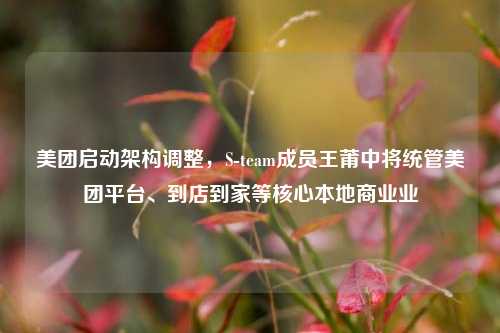 美团启动架构调整，S-team成员王莆中将统管美团平台、到店到家等核心本地商业业