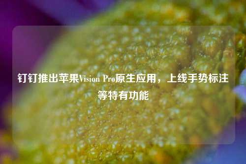 钉钉推出苹果Vision Pro原生应用，上线手势标注等特有功能