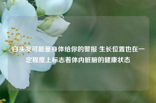 白头发可能是身体给你的警报 生长位置也在一定程度上标志着体内脏腑的健康状态