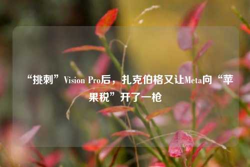 “挑刺”Vision Pro后，扎克伯格又让Meta向“苹果税”开了一枪