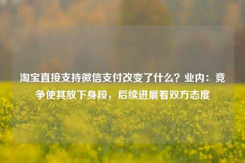 淘宝直接支持微信支付改变了什么？业内：竞争使其放下身段，后续进展看双方态度