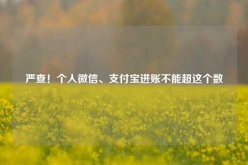 严查！个人微信、支付宝进账不能超这个数