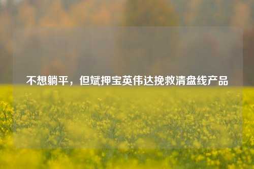 不想躺平，但斌押宝英伟达挽救清盘线产品