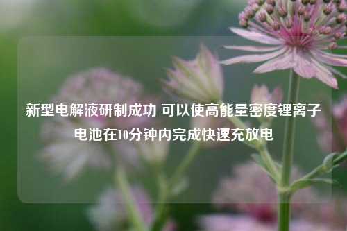 新型电解液研制成功 可以使高能量密度锂离子电池在10分钟内完成快速充放电