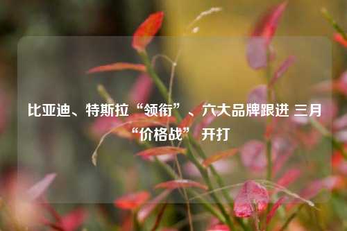 比亚迪、特斯拉“领衔”、六大品牌跟进 三月“价格战” 开打