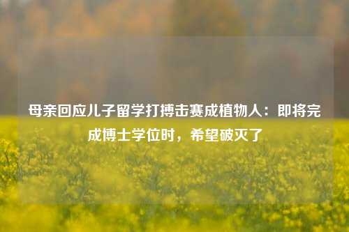 母亲回应儿子留学打搏击赛成植物人：即将完成博士学位时，希望破灭了