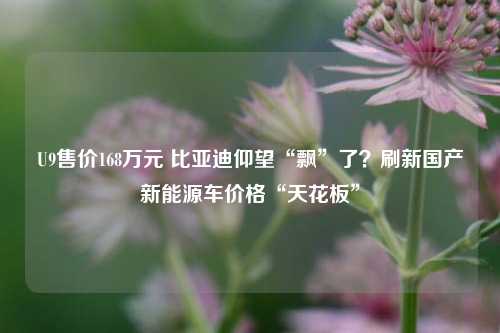 U9售价168万元 比亚迪仰望“飘”了？刷新国产新能源车价格“天花板”