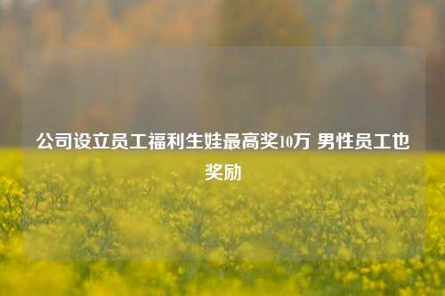 公司设立员工福利生娃最高奖10万 男性员工也奖励