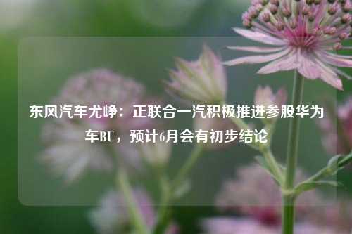 东风汽车尤峥：正联合一汽积极推进参股华为车BU，预计6月会有初步结论