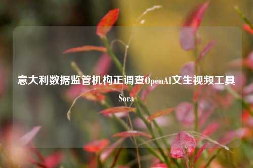 意大利数据监管机构正调查OpenAI文生视频工具Sora