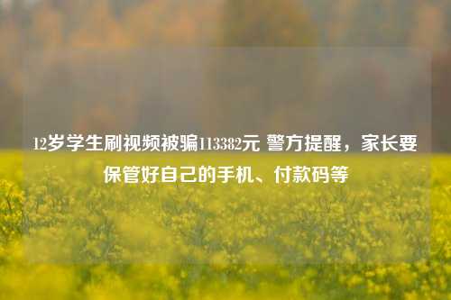 12岁学生刷视频被骗113382元 警方提醒，家长要保管好自己的手机、付款码等